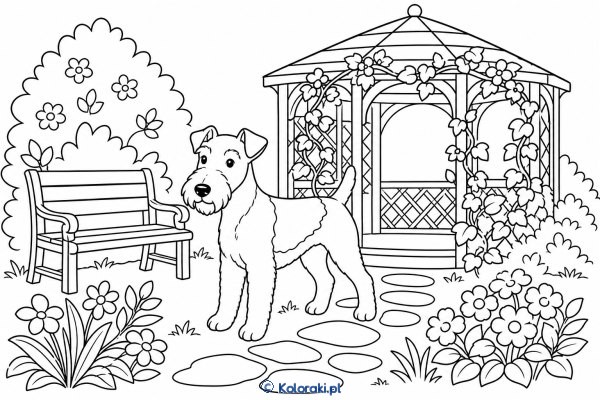 Foxterrier przy altance – foxterrier