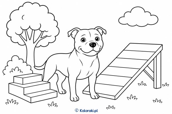 Staffordshire bull terrier z deskorolką – staffordshire bull terrier