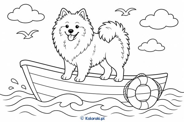 Keeshond na łodzi – keeshond