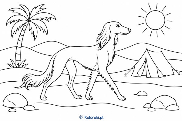 Saluki na pustynnej ścieżce – saluki