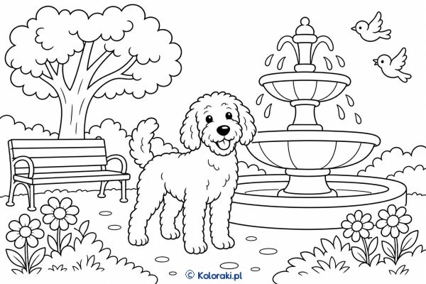 Labradoodle przy fontannie – labradoodle
