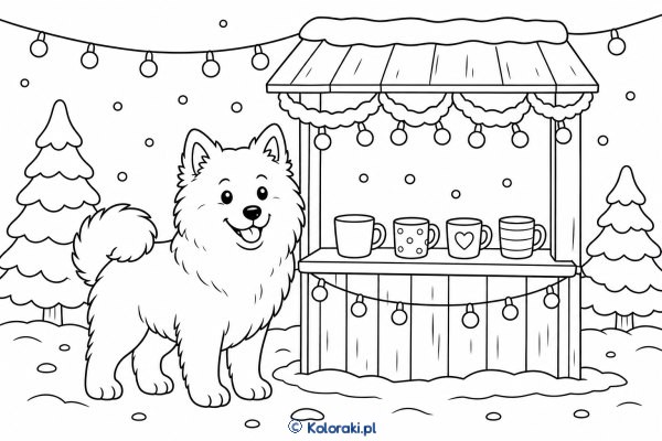 Samoyed mix na zimowym rynku – samoyed mix