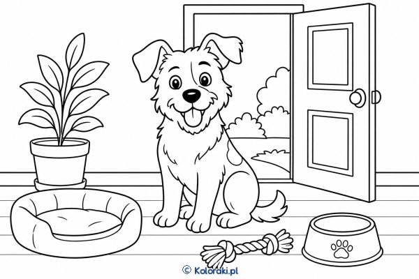 Kundelek adoptowany w nowym domu – kundelek adoptowany
