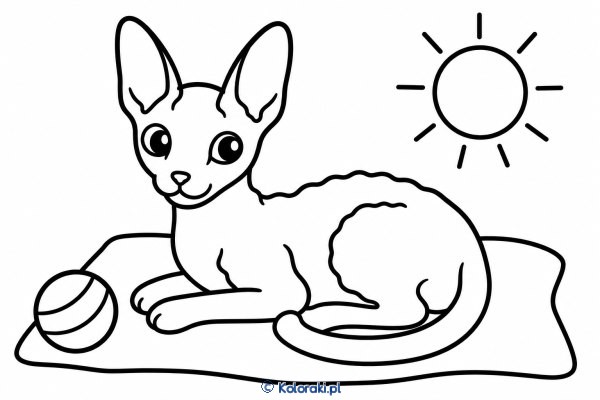 Kotek na kocyku – cornish rex