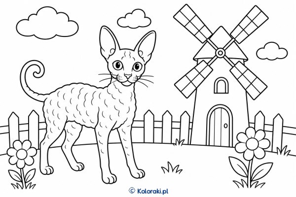 Cornish rex przy wiatraku – cornish rex
