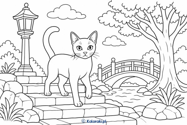 Korat przy świątyni – kot korat